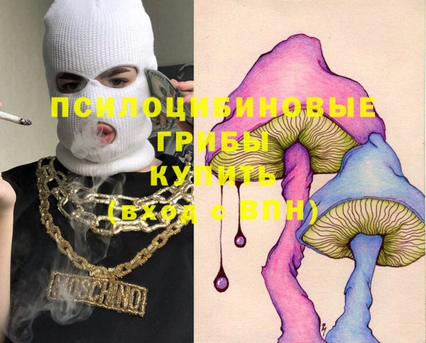 прущие крисы Покачи